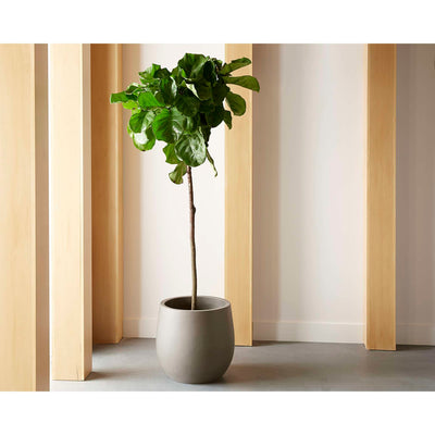 Rosen Planter