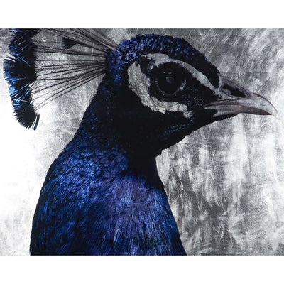 The Peacock - 48" X 72" - Charcoal Frame