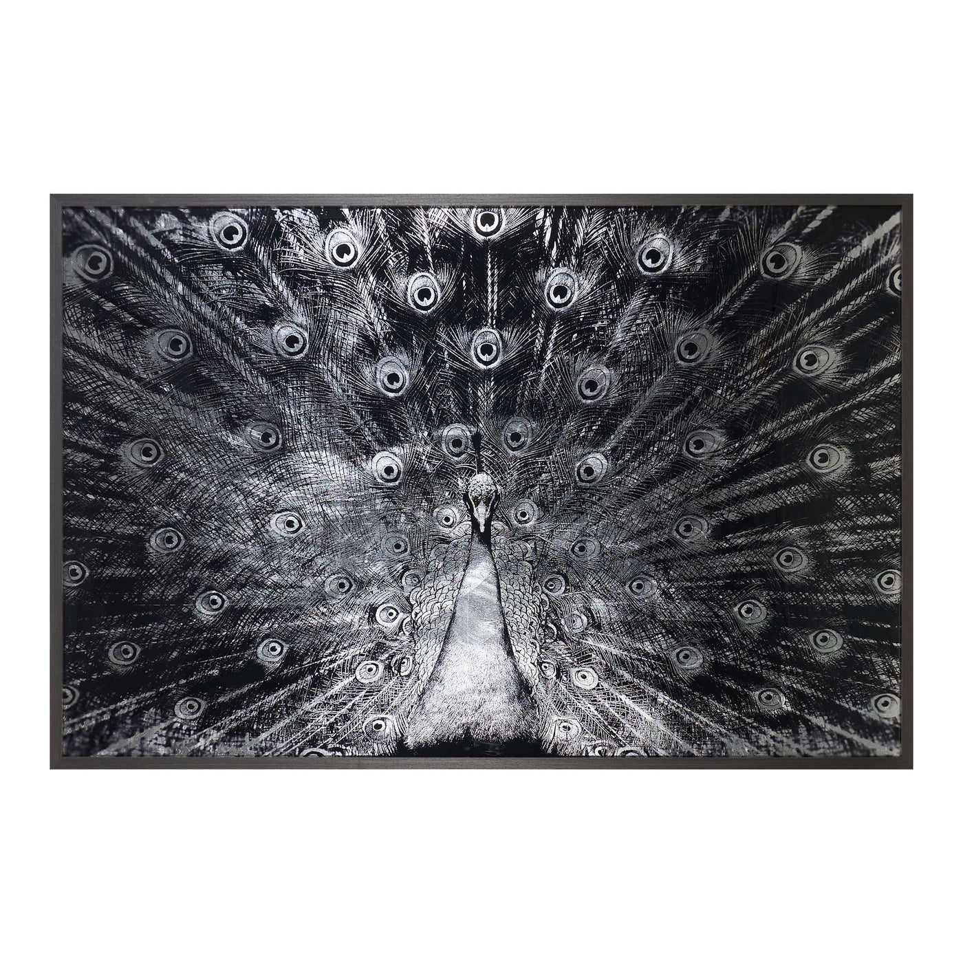 Silver Plumage - 72" X 48" - Charcoal Frame